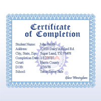 Florida drug and alcohol course certificate of course completion