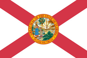 Florida flag indicating our courses are DHSMV approved